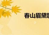 春山眉黛歌词（黛眉歌词）