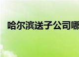 哈尔滨送子公司哪个好（哈尔滨送子公司）