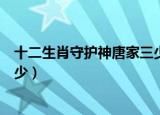 十二生肖守护神唐家三少水晶之恋（十二生肖守护神唐家三少）