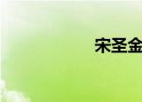 宋圣金圣（金圣求）