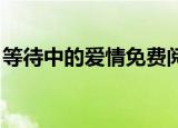 等待中的爱情免费阅读 小说（等待中的爱情）