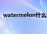 watermelon什么时候可数什么时候不可数