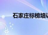 石家庄标榜培训学校（石家庄标榜）
