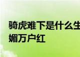 骑虎难下是什么生肖?风吹草低见牛羊,春光明媚万户红