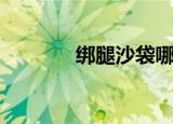 绑腿沙袋哪种好（绑腿沙袋）