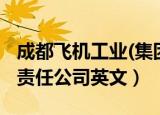 成都飞机工业(集团)有限责任公司英文（有限责任公司英文）