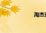 淘杰克（taojie）