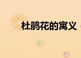 杜鹃花的寓义（杜鹃花的象征意义）