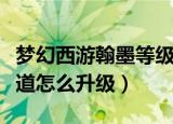 梦幻西游翰墨等级怎么提升（梦幻西游翰墨之道怎么升级）