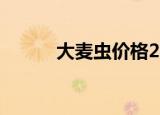 大麦虫价格2021（大麦虫价格）