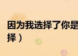 因为我选择了你是什么意思（因为你是我的选择）