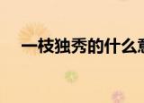 一枝独秀的什么意思（一枝独秀的意思）