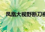 凤凰大视野断刀视频（凤凰大视野 断刀）
