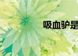 吸血驴是什么（吸血驴）