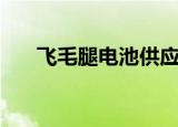 飞毛腿电池供应商（飞毛腿商务电池）