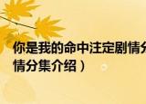 你是我的命中注定剧情分集介绍结局（你是我的命中注定剧情分集介绍）