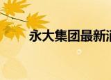永大集团最新消息（永大集团股票）