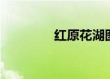 红原花湖图片（红原花湖）