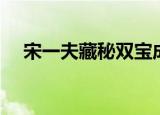 宋一夫藏秘双宝成份（宋一夫藏秘双宝）