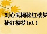 刘心武揭秘红楼梦八十回后真故事（刘心武揭秘红楼梦txt）