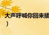 大声呼喊你回来插曲歌（大声呼喊你回来歌词）