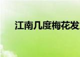 江南几度梅花发人在天涯鬓已斑的事物