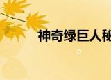 神奇绿巨人秘籍（神奇绿巨人2）