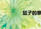 鼠子的意思（鼠子动矣）