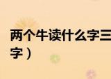 两个牛读什么字三个牛四个牛（两个牛读什么字）