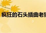 疯狂的石头插曲老狼吃鸡（疯狂的石头插曲）