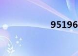 9519668（95195）