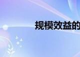 规模效益的例子（规模效益）