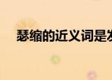瑟缩的近义词是发抖吗（瑟缩的近义词）