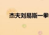 杰夫刘易斯一拳的力量（杰夫 刘易斯）