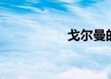 戈尔曼的诗（戈尔诗）