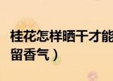 桂花怎样晒干才能保存香味（桂花怎么晒干保留香气）