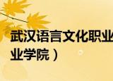 武汉语言文化职业学院学费（武汉语言文化职业学院）