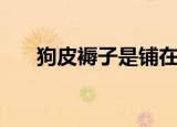 狗皮褥子是铺在最下面吗（狗皮褥子）