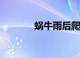  蜗牛雨后爬到水泥墙上做什么