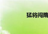 猛将闯隋唐（闯荡隋唐）