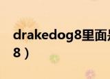 drakedog8里面是怎么抓DZ的（drakedog8）