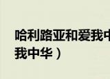 哈利路亚和爱我中华旋律很像（哈利路亚 爱我中华）
