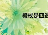 橙杖是四选一吗（4 2橙杖）