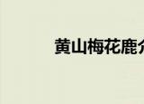 黄山梅花鹿介绍（梅花鹿介绍）