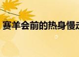 赛羊会前的热身慢走状态（赛羊会前的热身）