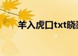羊入虎口txt晓蕖（羊入虎口by晓渠）