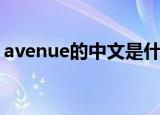 avenue的中文是什么（avenue是什么意思）