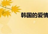 韩国的爱情（韩国爱情小说）