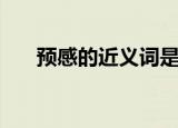 预感的近义词是什么（预感的近义词）