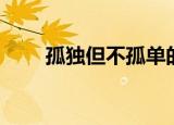 孤独但不孤单的意思（孤单的意思）